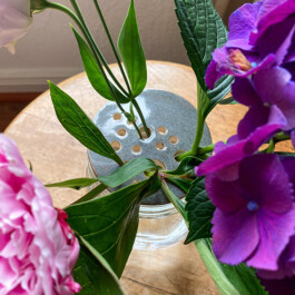 Wilhelmines Werkstatt